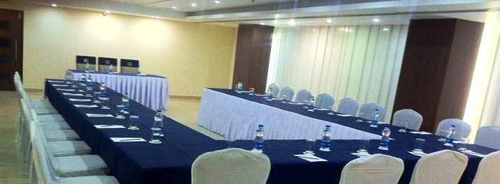 520/Golden Tulip - Jaipur 04.jpg